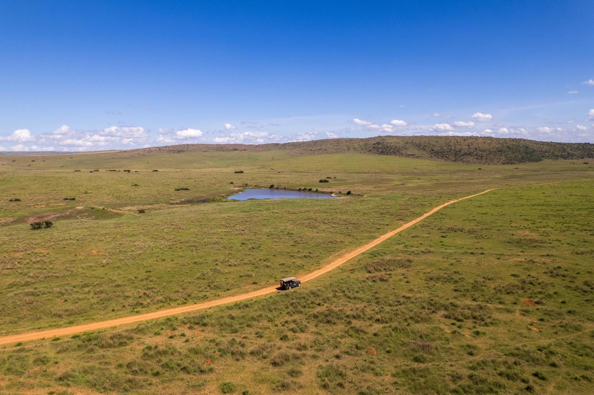 Sediba Luxury Safari Lodge Welgevonden Game Reserve Eksteriør bilde