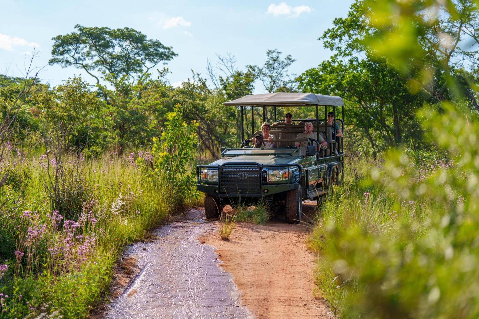 Sediba Luxury Safari Lodge Welgevonden Game Reserve Eksteriør bilde